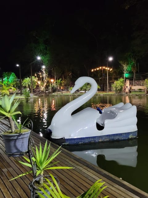 Night, Natural landscape, Lake view