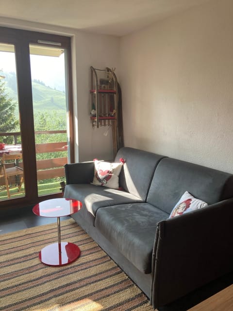 Studio cosy avec vue montagne au pied des pistes Apartment in Manigod