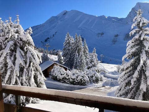 Studio cosy avec vue montagne au pied des pistes Apartment in Manigod