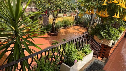 Garden view