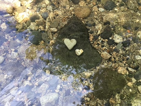 gite du devez des bruyéres House in Provence-Alpes-Côte d'Azur