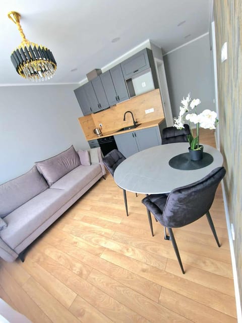 Kitchen or kitchenette, Living room, Seating area, Dining area