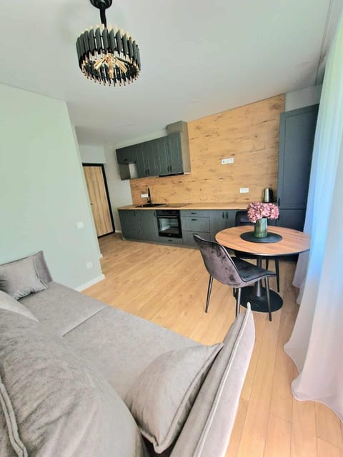 Bed, Kitchen or kitchenette, Living room, Photo of the whole room, Seating area, Dining area, Bedroom, stove