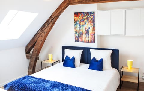 Logement Cosy au cœur de Blois Apartment in Blois