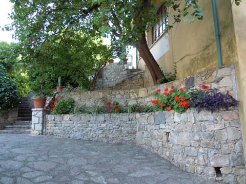Property building, Decorative detail
