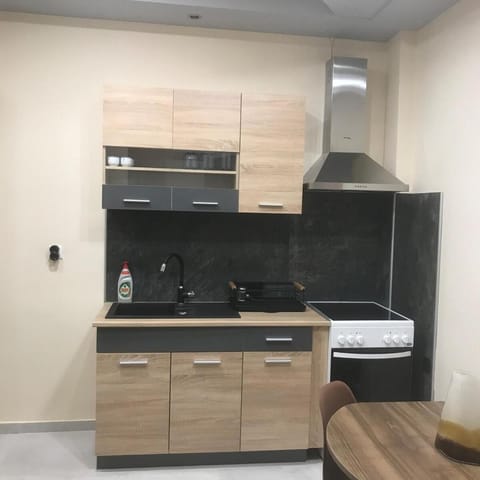 Διαμέρισμα στο κέντρο της πόλης Apartment in Euboea