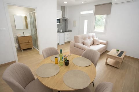 Kitchen or kitchenette, Living room, Dining area, stove, stove, kitchen