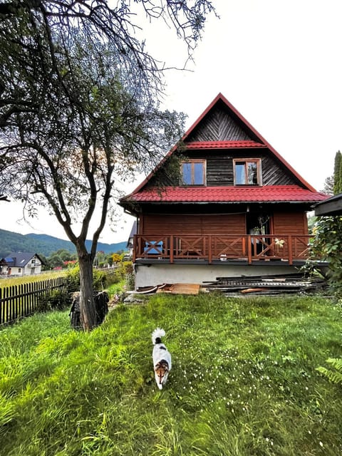 Property building, Day, Natural landscape, Garden, Pets, Garden view