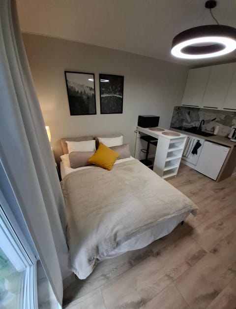 Bed, Kitchen or kitchenette, Photo of the whole room, Bedroom
