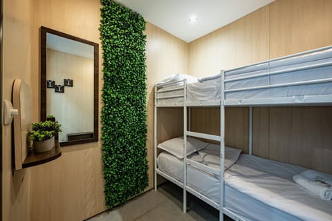 Bed, Photo of the whole room, Bedroom, bunk bed