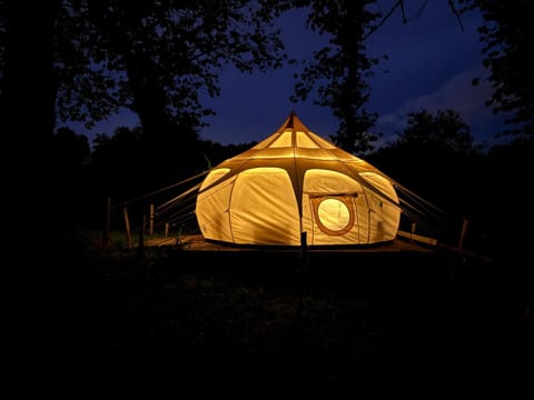 Nearby landmark, Night, Natural landscape, Horse-riding
