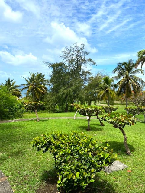 Spring, Day, Natural landscape, Garden, Garden view