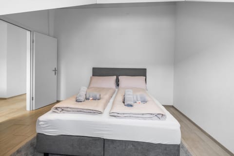 Unique apartment in a central location! Apartment in Winterthur