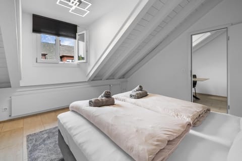 Unique apartment in a central location! Apartment in Winterthur