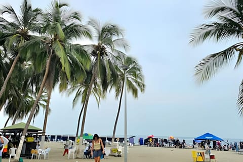Sea view