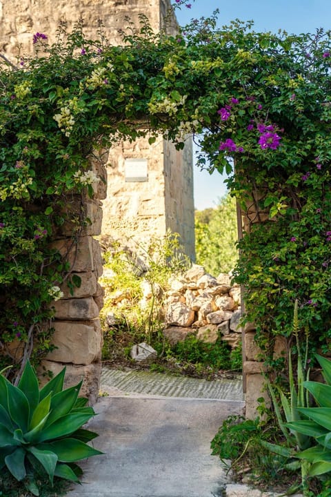 Day, Garden, Garden view, Landmark view