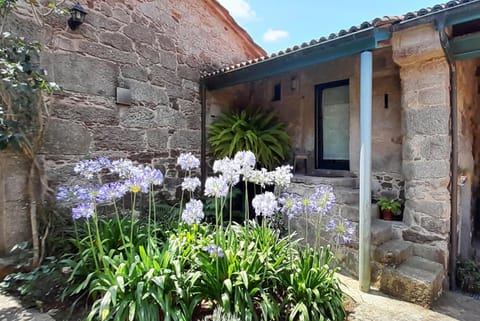 Property building, Garden, Garden view