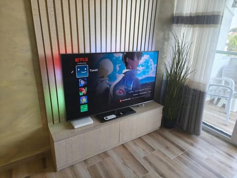 TV and multimedia