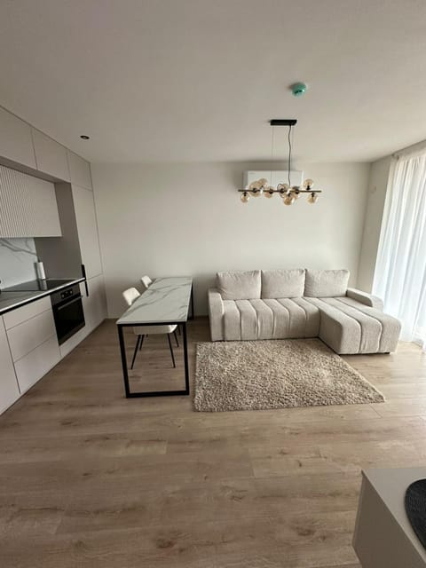 Kitchen or kitchenette, Living room, Seating area, Dining area, stove