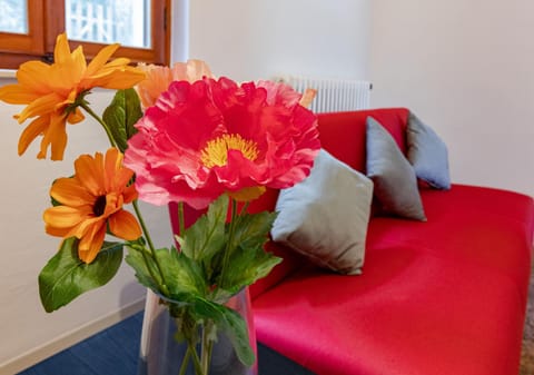 Living room, Photo of the whole room