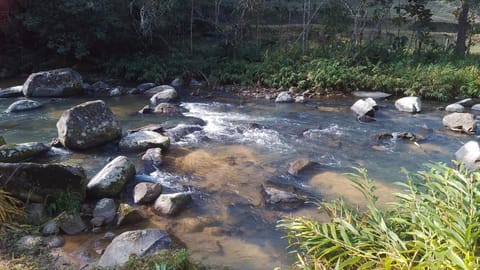 Natural landscape, River view