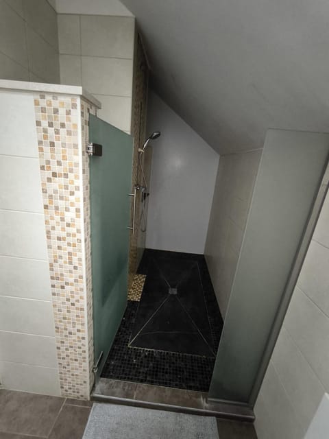 Villa 8 chambres pour 20 personnes Villa in Charleroi