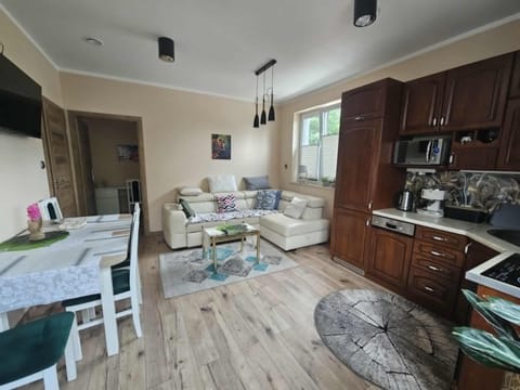 Kitchen or kitchenette, Living room, Seating area