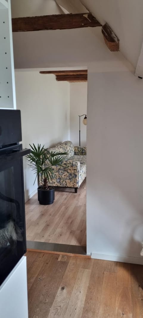 Apartment at Havegaard, beautiful old farm surrounded by beautiful nature close to the coast Apartment in Zealand