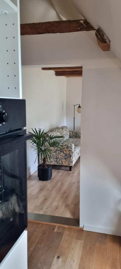 Apartment at Havegaard, beautiful old farm surrounded by beautiful nature close to the coast Apartment in Zealand