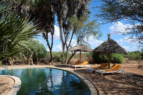 Natural landscape, Pool view, Swimming pool, sunbed