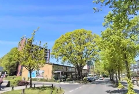 Property building, Spring, Neighbourhood, Natural landscape, Street view, Location