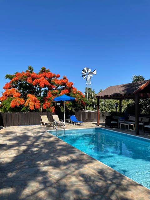 Day, Pool view, Swimming pool, Swimming pool