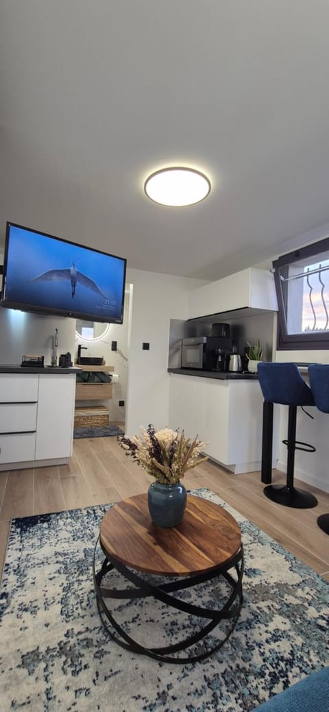 Le superbe Apartment in Thonon-les-Bains