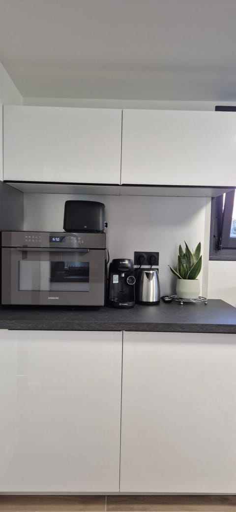 Le superbe Apartment in Thonon-les-Bains