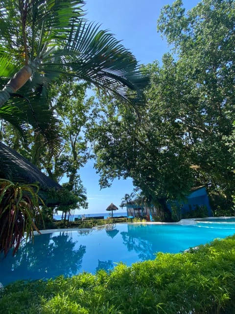 Day, Natural landscape, Garden, Garden view, Pool view, Swimming pool