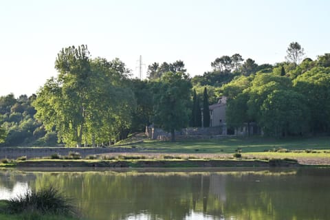 Property building, Natural landscape, Lake view