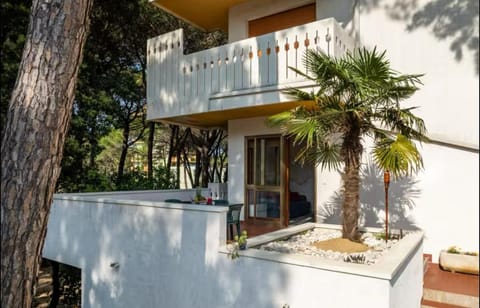 200 mt dal mare zona centrale House in Bibione