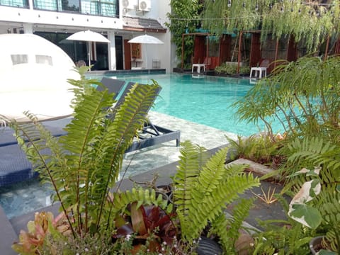 Swimming pool