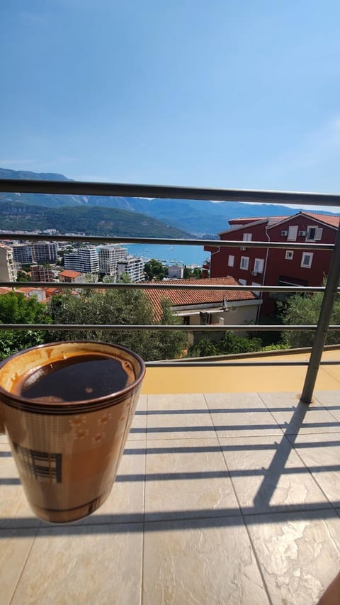 Apartman braco Apartment in Budva