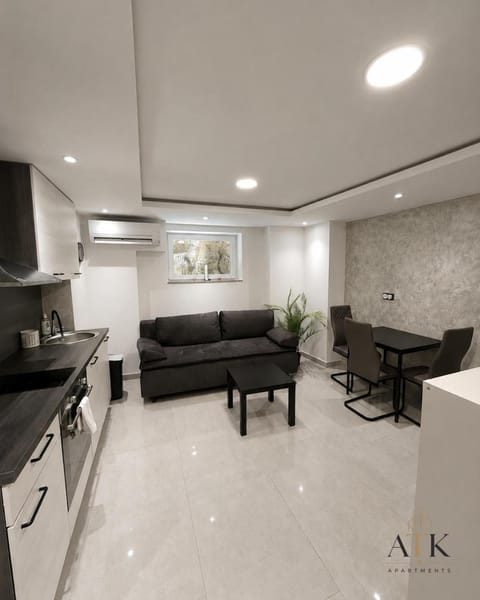 Living room, kitchen
