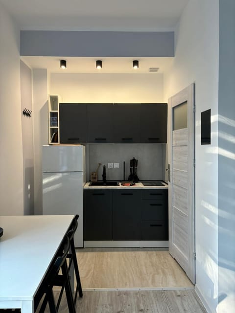 Kitchen or kitchenette, pet friendly