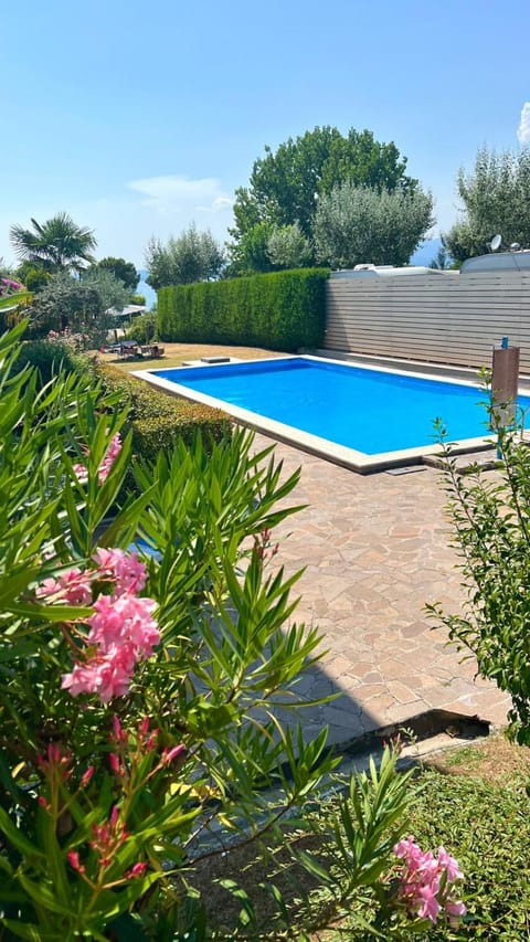 Garden, Garden view, Swimming pool, Swimming pool, sunbed