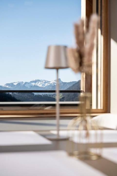 Chalet Valora Apartment in Le Grand-Bornand