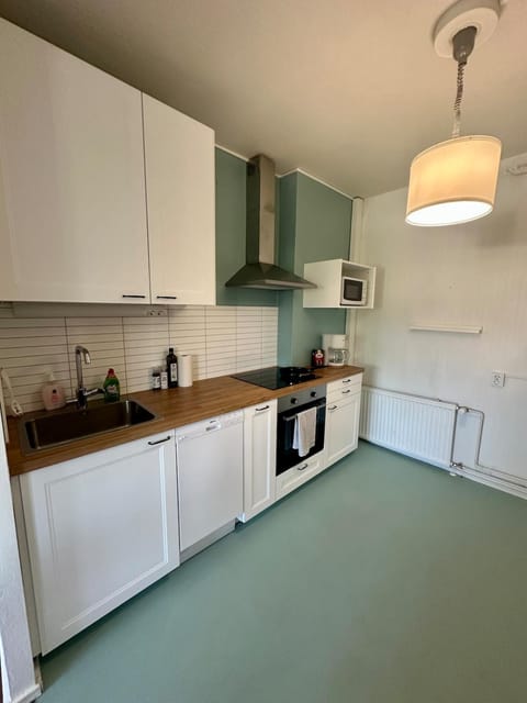 Kitchen or kitchenette, dishwasher, oven, stove