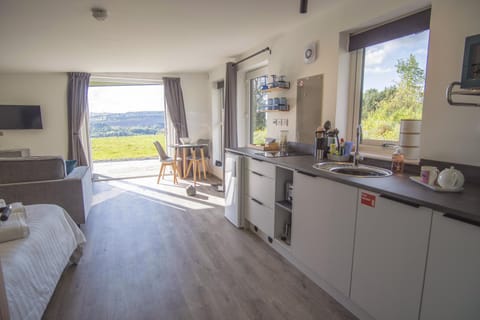 View (from property/room), Kitchen or kitchenette, Dining area