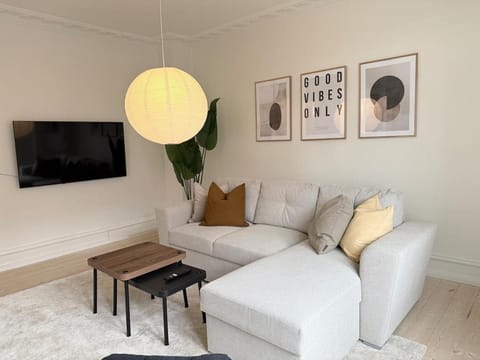Cozy pearl downtown Viborg Apartment in Central Denmark Region