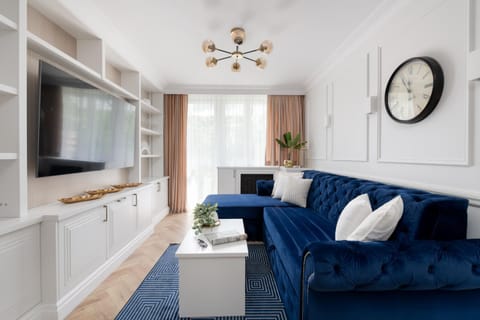 TV and multimedia, Balcony/Terrace, Living room, Decorative detail, Seating area, Garden view, internet, air conditioner