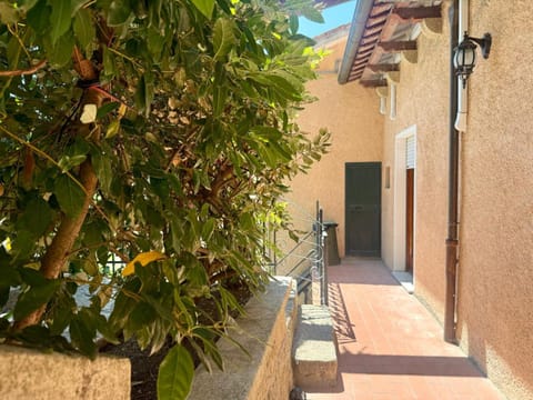 Day