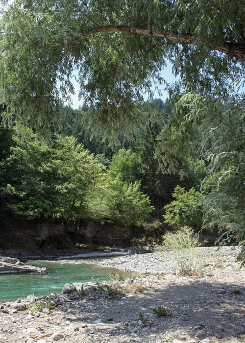 Day, Natural landscape, Garden, Mountain view, River view