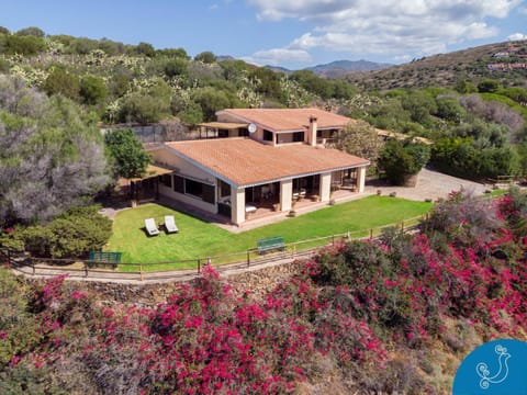 Property building, Bird's eye view, Garden, Garden view